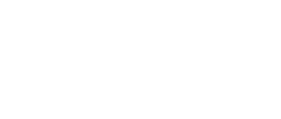 Villa Traful